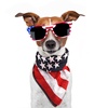 image:imageFEPITO 12 Pack American Flag Bandanas Headband USA Flag Kerchief and 12Pcs Tattoo Sticker for July 4th Patriotic Event Accessories