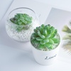 image:imageFEPITO 15 Pcs Artificial Succulent Plants Green Unpotted Faux Flower Succulents Mini Echeveria Picks Bulk Stems for Home Indoor Fairy Garden Decorations15Pcs