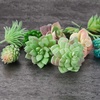 image:imageFEPITO 15 Pcs Artificial Succulent Plants Green Unpotted Faux Flower Succulents Mini Echeveria Picks Bulk Stems for Home Indoor Fairy Garden Decorations15Pcs