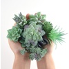 image:imageFEPITO 15 Pcs Artificial Succulent Plants Green Unpotted Faux Flower Succulents Mini Echeveria Picks Bulk Stems for Home Indoor Fairy Garden Decorations15Pcs