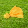 image:imageFEPITO Yellow Penalty Flag Football Flags Sports Tossing Flags Set for Party2 Pcs
