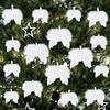 image:imageFEPITO 16 Pcs White Feather Christmas Decorations Fantasy Angel White Feather Wing Ornament for Christmas Party Decoration DIY Craft