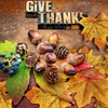 image:imageFEPITO 350 PCS Autumn Table Decorations Scatters Set Artificial Maple Leaves and Artificial Acorns for Fall Party Thanksgiving Halloween Decorations