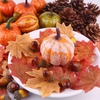 image:imageFEPITO 56 Pcs Fall Thanksgiving Decorations Mini Artificial Pumpkins Pine Cones Fall Leaves Acorns for Fall Party Decorations Autumn Decorating Kit Halloween Thanksgiving Party Supplies
