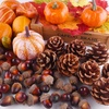 image:imageFFEPITO 96 Pcs Fall Thanksgiving Decorations Mini Artificial Pumpkins Pine Cones Fall Leaves Acorns for Fall Party Decorations Autumn Decorating Kit Halloween Thanksgiving Party Supplies